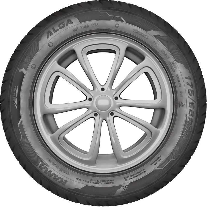 KAMA ALGA (НК-531) нешип в Исилькуле — KAMA TYRES KAMA ALGA (НК-531) нешип в Исилькуле